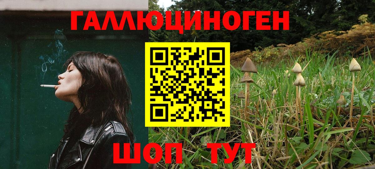 Псилоцибиновые грибы Psilocybe  Вход с VPN  Нижнеудинск 